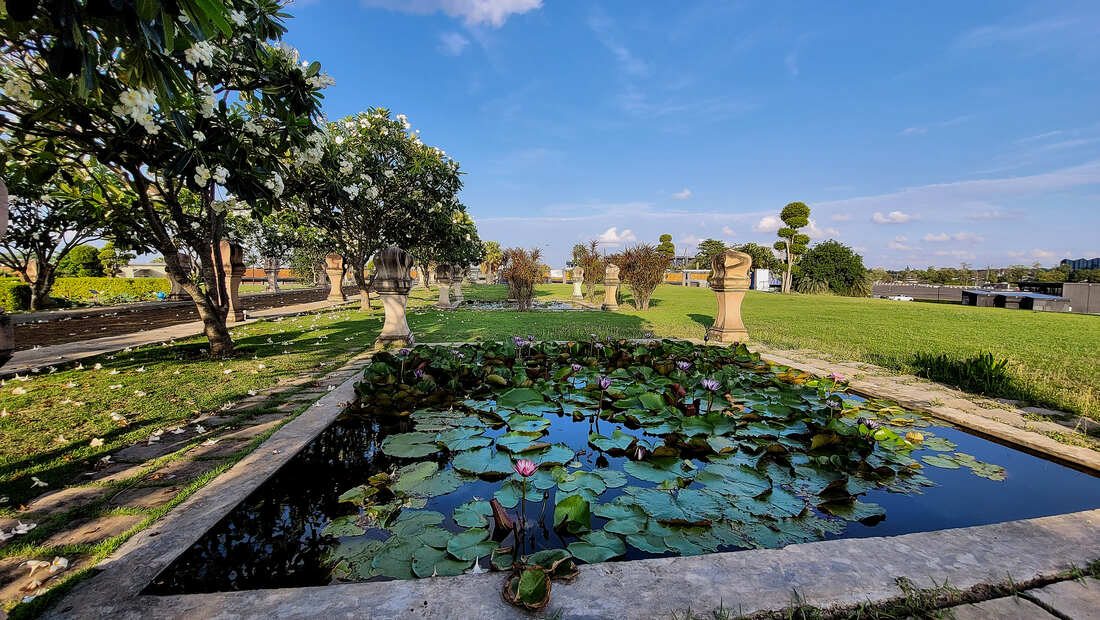 Picture