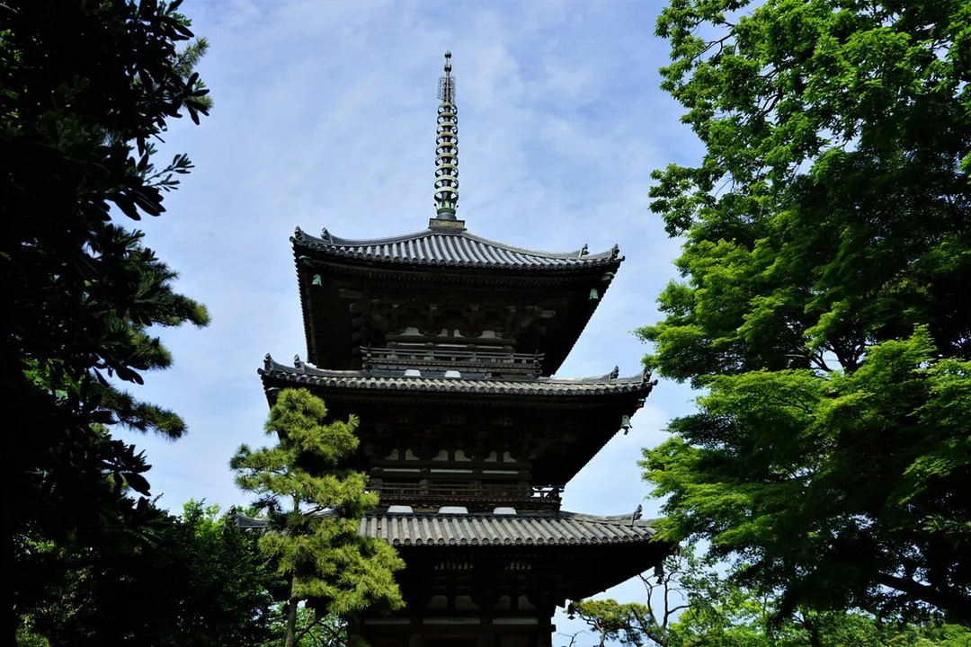 Picture